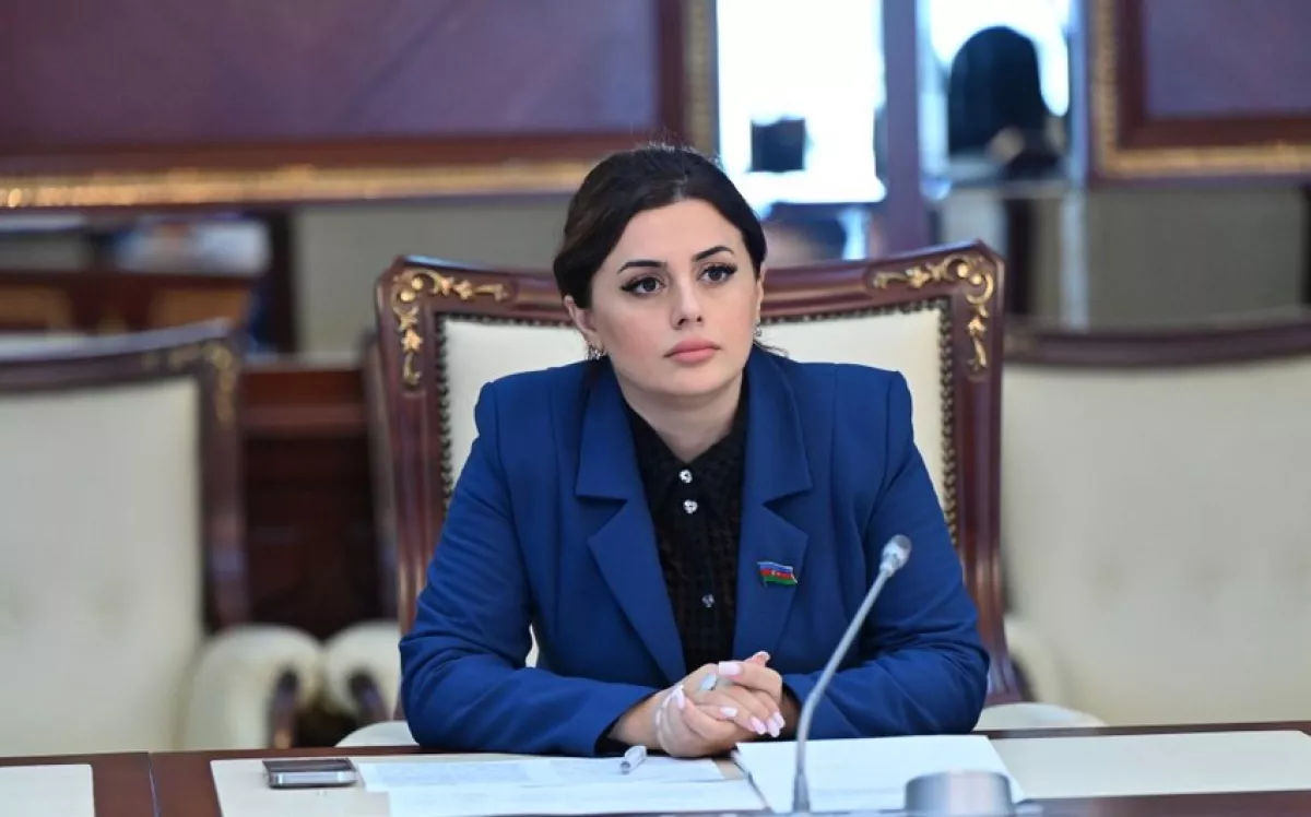 Post-münaqişə dövründə vətəndaş cəmiyyəti dialoqu davamlı və dayanıqlı sülh üçün zəruridir - RƏY