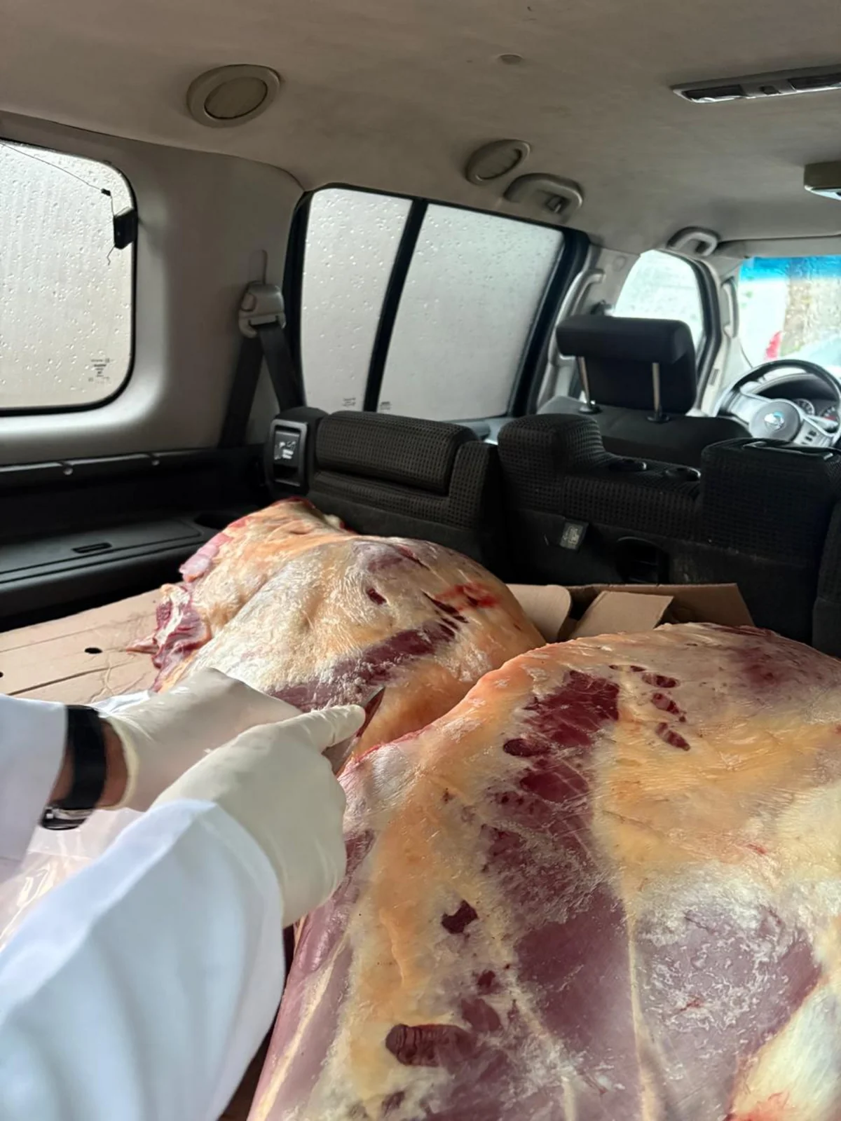 İstehlaka yararsız 227 kq at əti aşkarlandı 