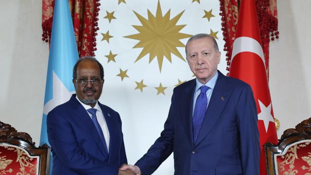 Türkiyə və Somali prezidentləri görüşüb