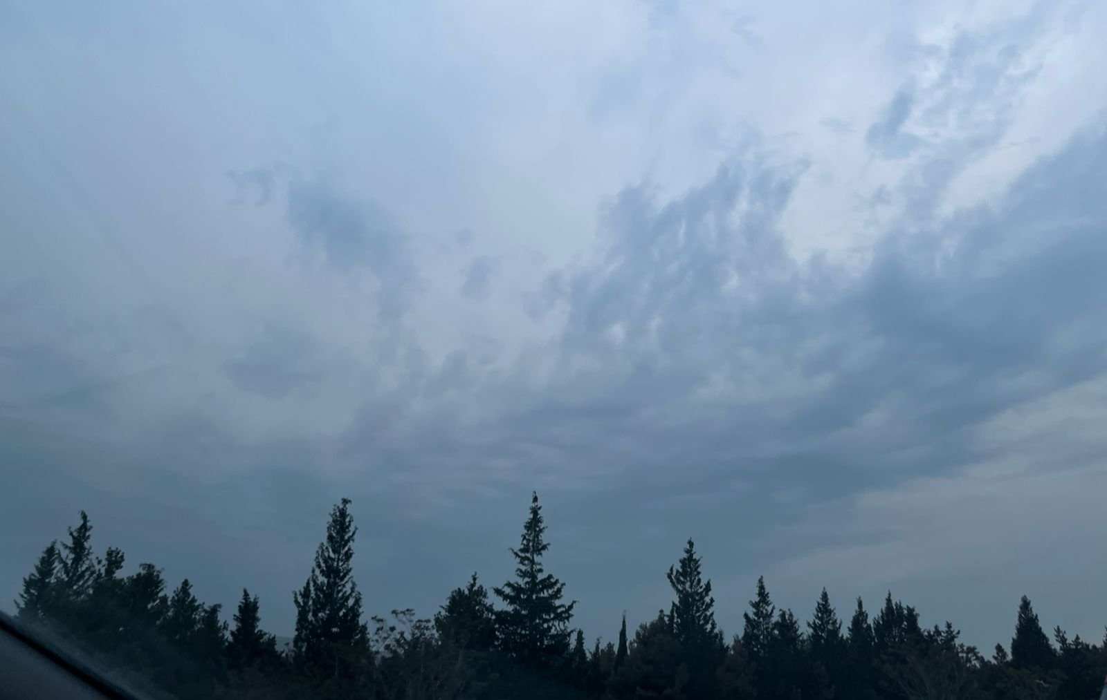 Sabahın havası meteohəssas insanlar üçün əlverişsiz olacaq