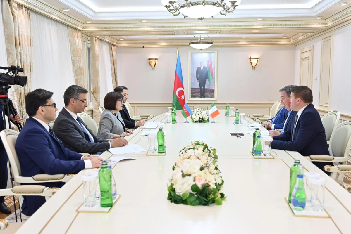 Sahibə Qafarova və Toni MakKormak Azərbaycan-Ermənistan sülh prosesini müzakirə ediblər - FOTO