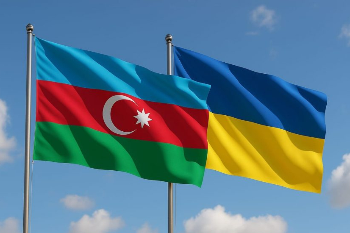 Mircəlil Qasımlı: Qarşılıqlı etimada və strateji tərəfdaşlığa əsaslanan Azərbaycan-Ukrayna münasibətləri dinamik inkişaf edir