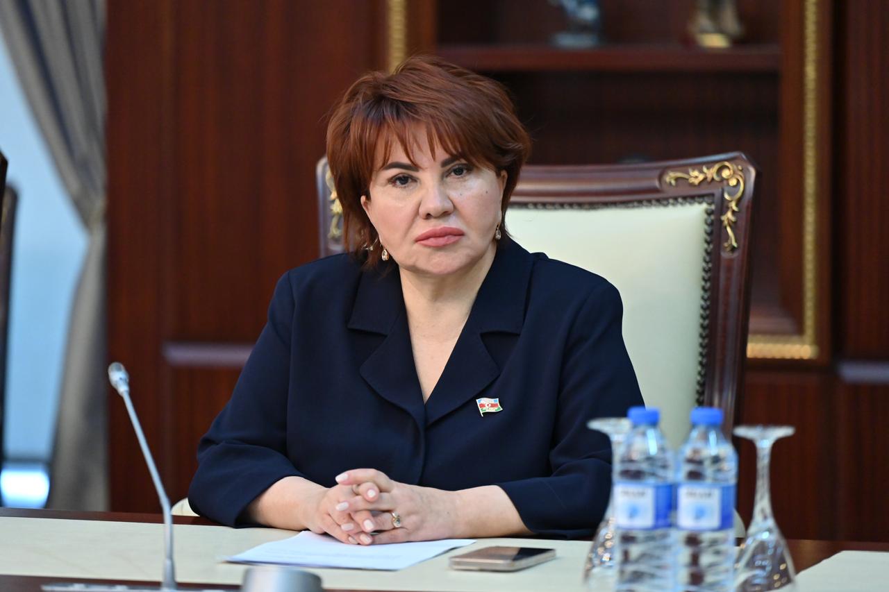Çexiya–Azərbaycan münasibətlərinin inkişafı üçün geniş perspektivlər açılır – Deputat