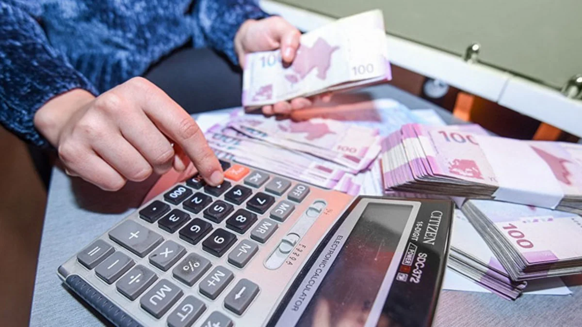 Hesablama Palatası subsidiya, sığorta və ixrac siyasətində dəyişikliklər təklif edir