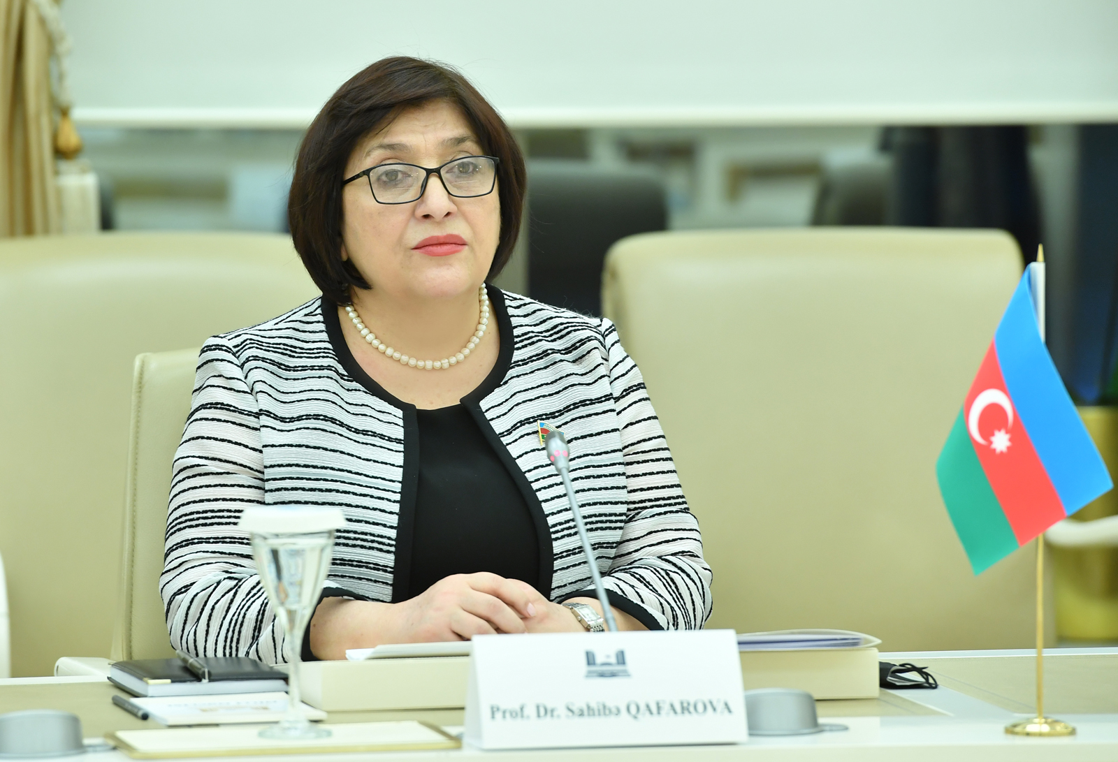 Avropa Parlamentinin ölkəmizlə bağlı qəbul etdiyi qətnamələr qərəzli xarakter daşıyır - Sahibə Qafarova