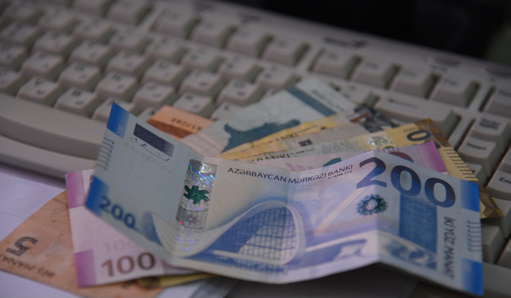 Kənd təsərrüfatı sektoru üzrə biznes kredit portfeli böyüyüb