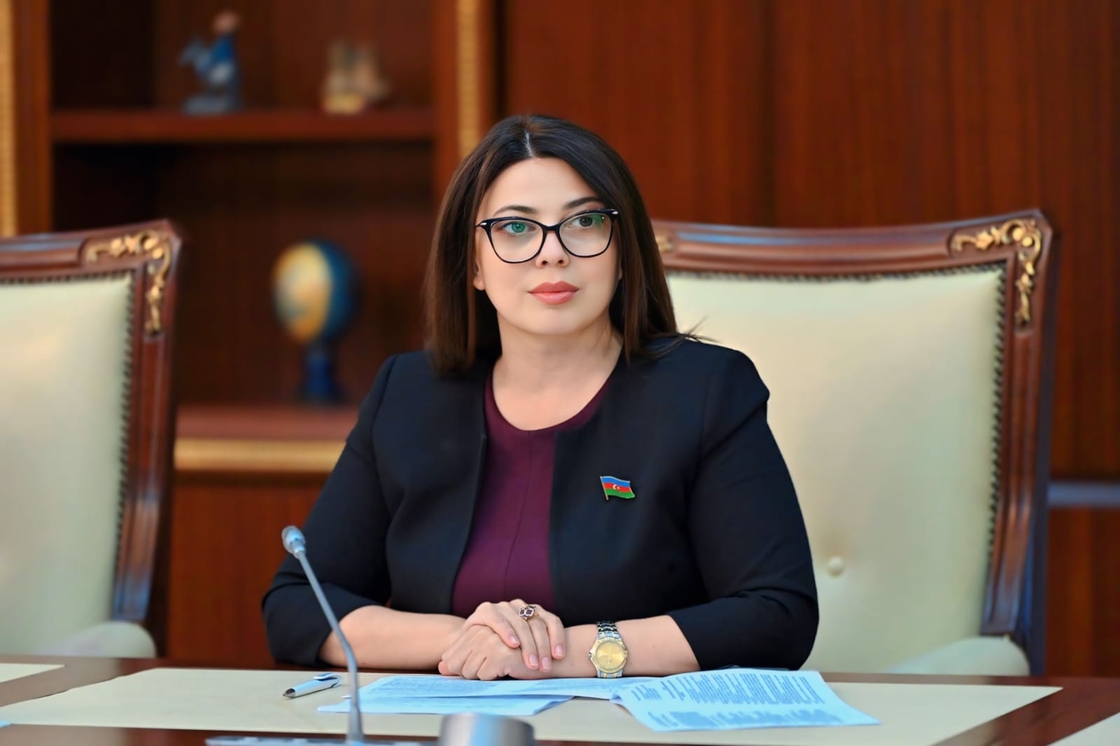 Avropa Parlamenti daxilində bəzi siyasi qruplar Azərbaycan–Aİ münasibətlərinə kölgə salmağa cəhd göstərirlər - Deputat