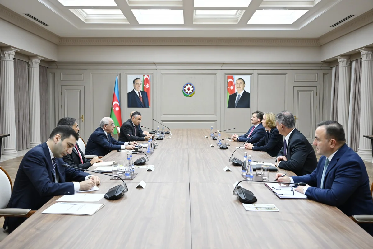 Əli Əsədov BP-nin nümayəndə heyəti ilə əməkdaşlığın gələcək perspektivlərini müzakirə edib - FOTO