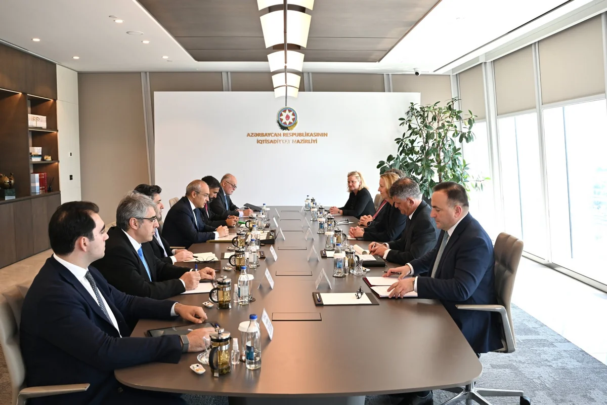 Azərbaycan BP ilə yeni əməkdaşlıq istiqamətlərini müzakirə edib