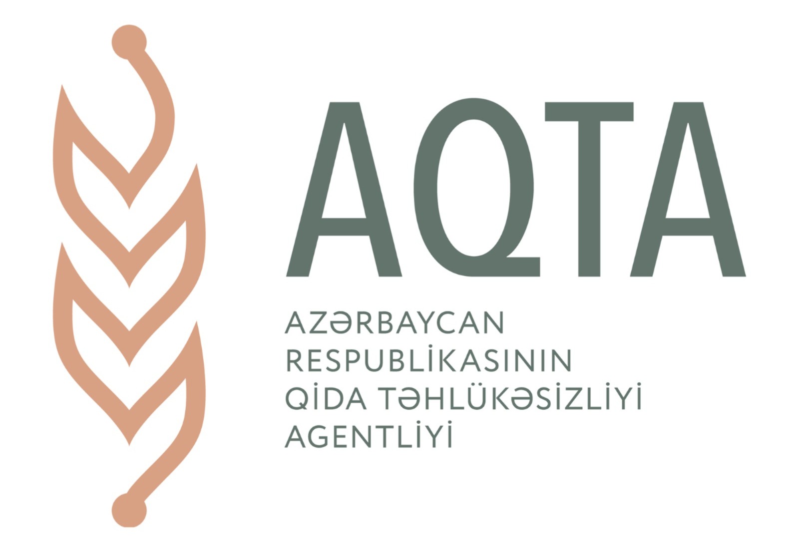 AQTA-nın yoxlamaları: narahatlıq və güvənin kəsişdiyi nöqtə - MƏQALƏ
