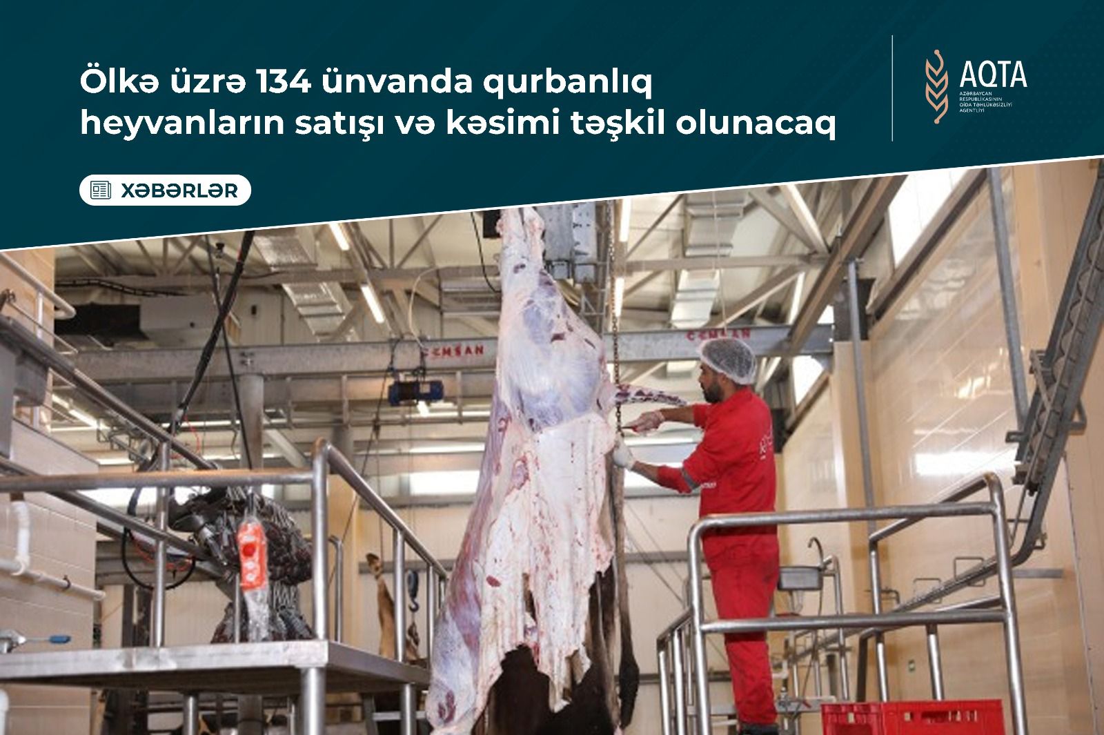 134 ünvanda qurbanlıq heyvanların satışı və kəsimi xidmətləri təşkil olunacaq 