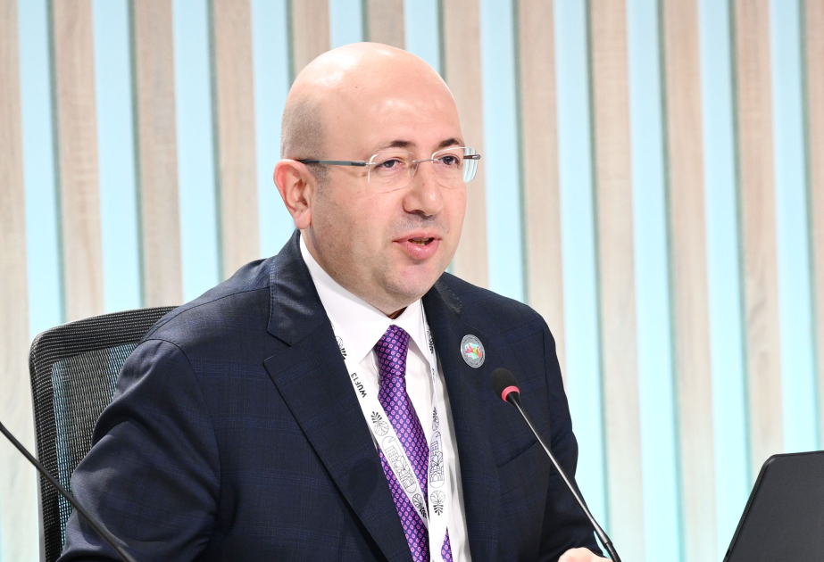 Komitə sədri: “Urban Expo”da Azərbaycanın şəhər transformasiyası nümayiş etdiriləcək