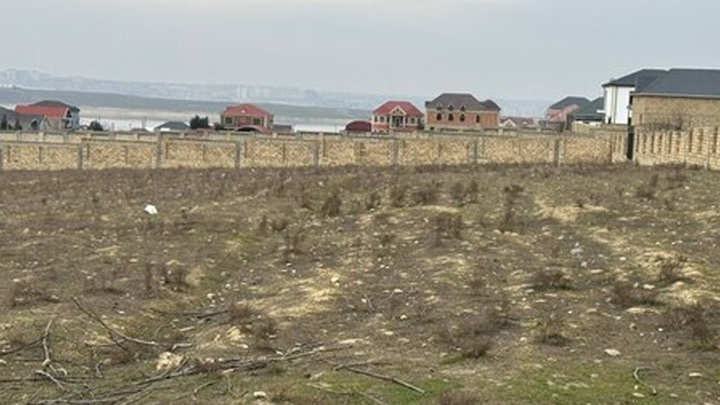 Tap.az-da saxta torpaq elanları ilə dələduzluq edən şəxsə hökm oxunub