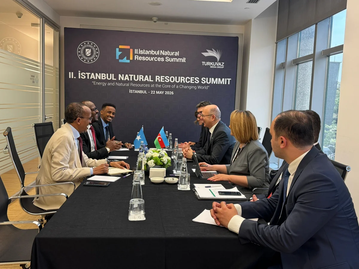 Azərbaycan Somali ilə enerji sektorunda Birgə İşçi Qrupu yaratmağı müzakirə edib 