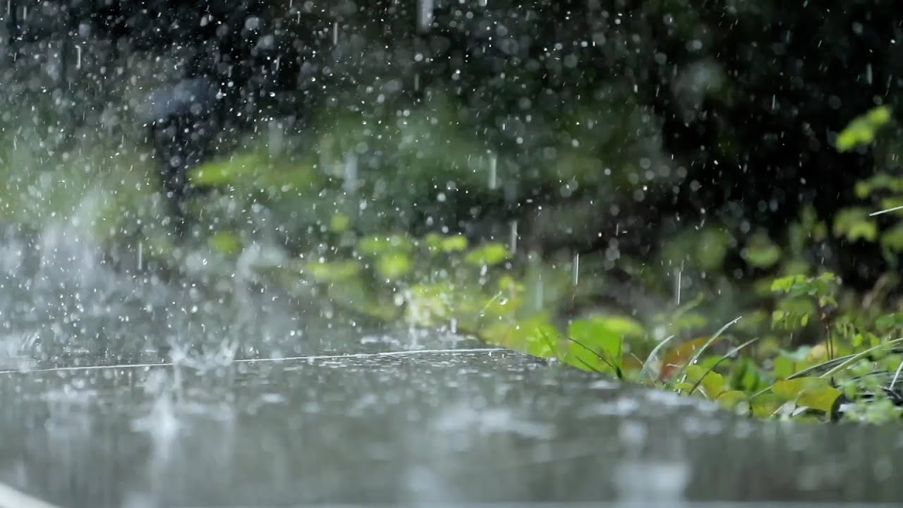 Bəzi ərazilərdə yağış yağır, küləkli hava şəraiti davam edir - FAKTİKİ HAVA