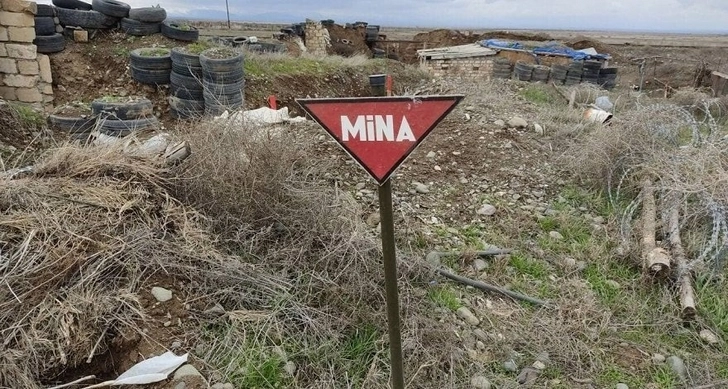 Ötən ay 7 500 hektardan çox ərazi minalardan təmizlənib