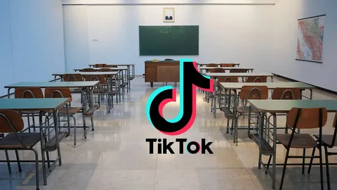 Azərbaycanda orta məktəblərdə "TikTok"a giriş məhdudlaşdırılıb