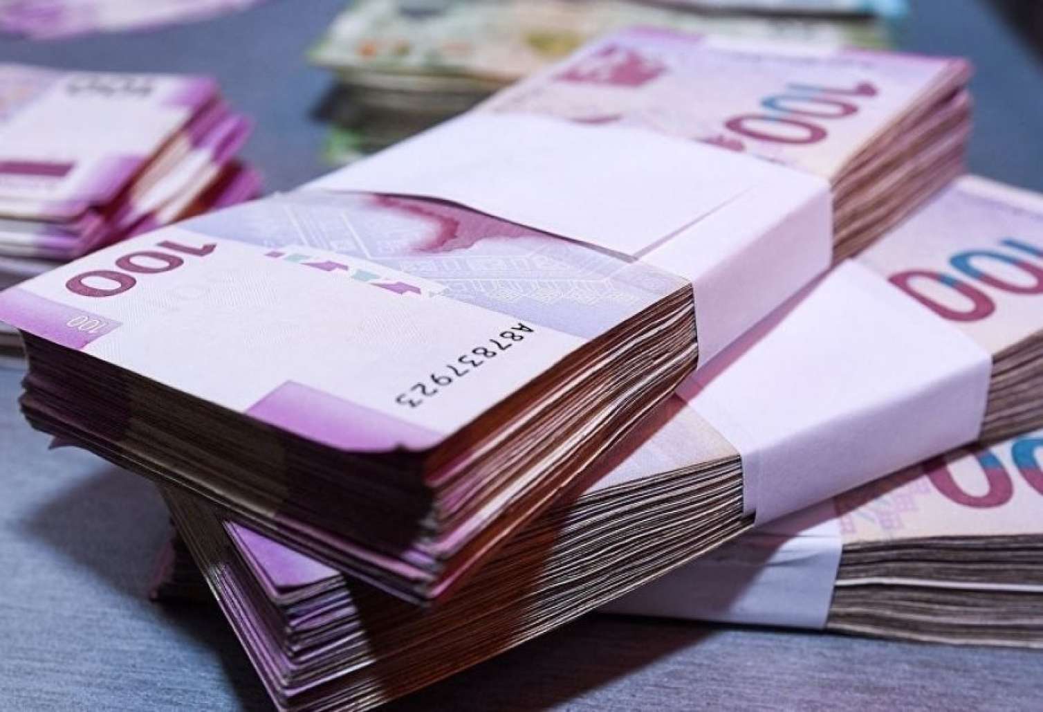 Naxçıvanda vergi daxilolmaları 2,4 % artıb