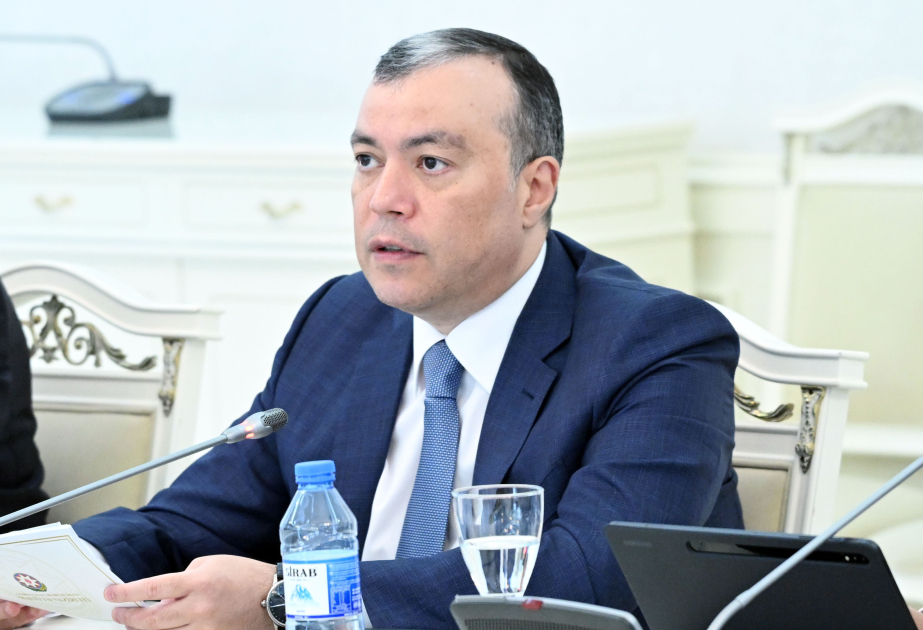 Maliyyə naziri: Qeyri-neft baza kəsirinin davamlı olaraq azaldılmasına çalışırıq