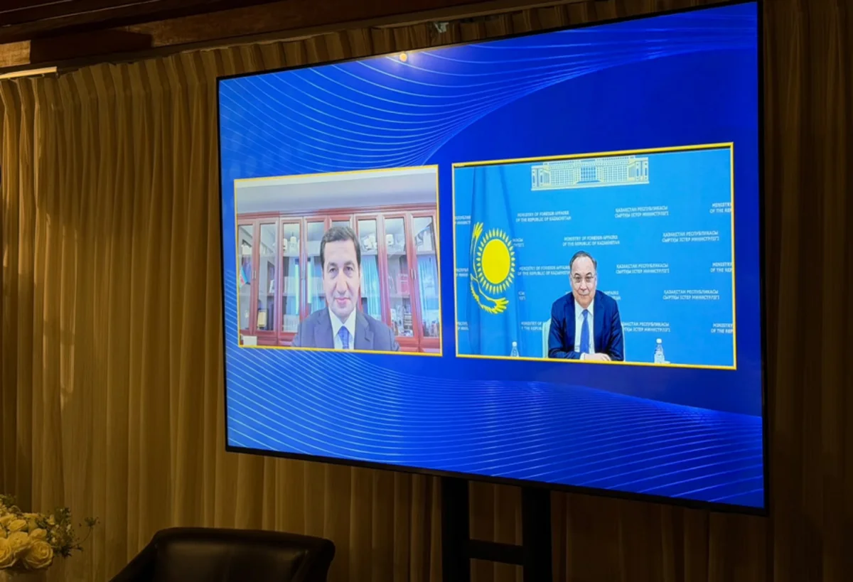 Hikmət Hacıyev: Ermənistanla münaqişənin həllindən sonra Azərbaycan orta güc konsepsiyasına keçib