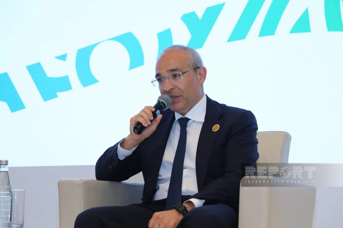 Mikayıl Cabbarov: "Qarabağın bərpasına ÜDM-in 3 %-i qədər yatırım edilir"
