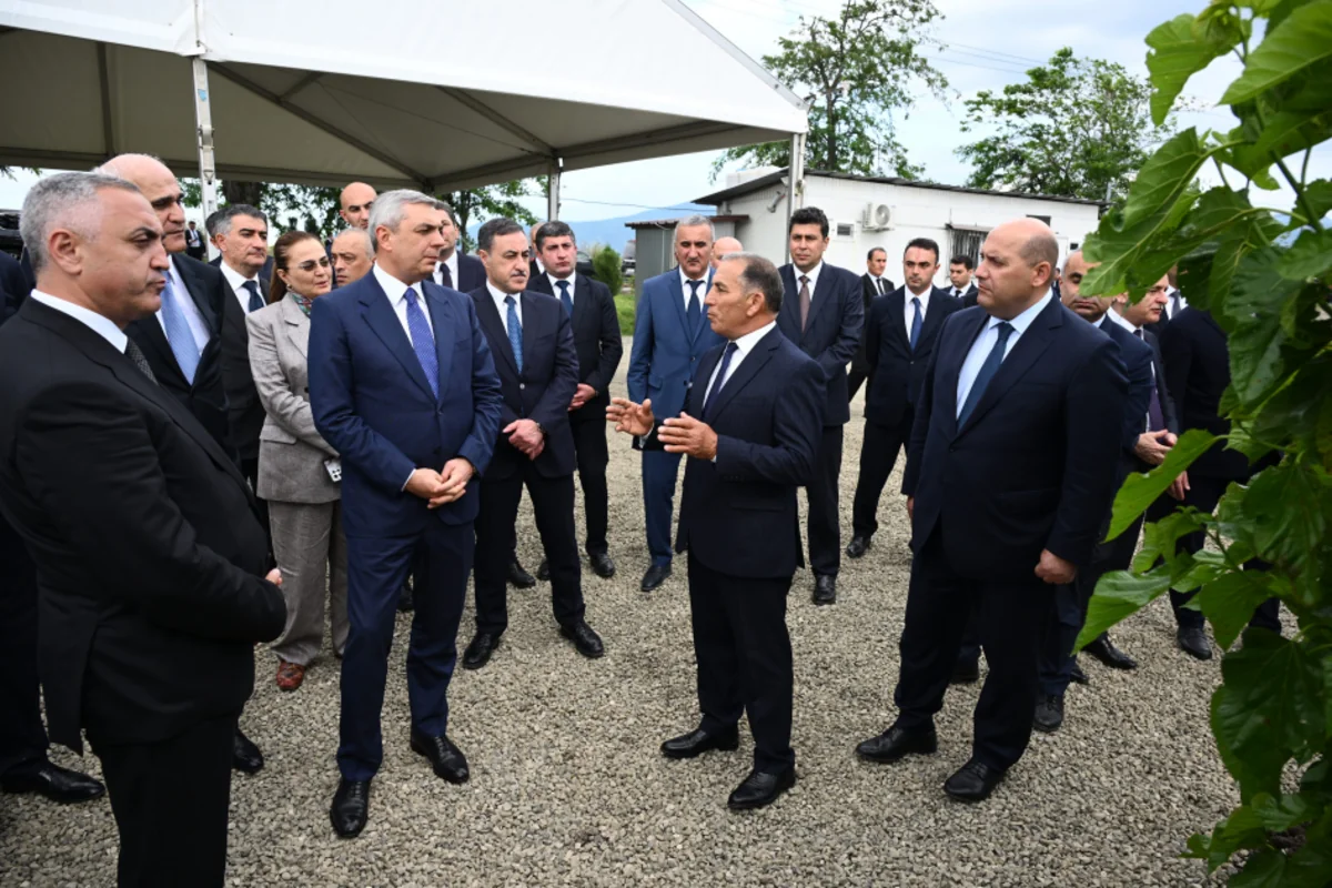 Xocalının Daşbulaq kəndində baramaçılığın inkişafı üçün yaradılmış infrastruktura baxış keçirilib - FOTO 