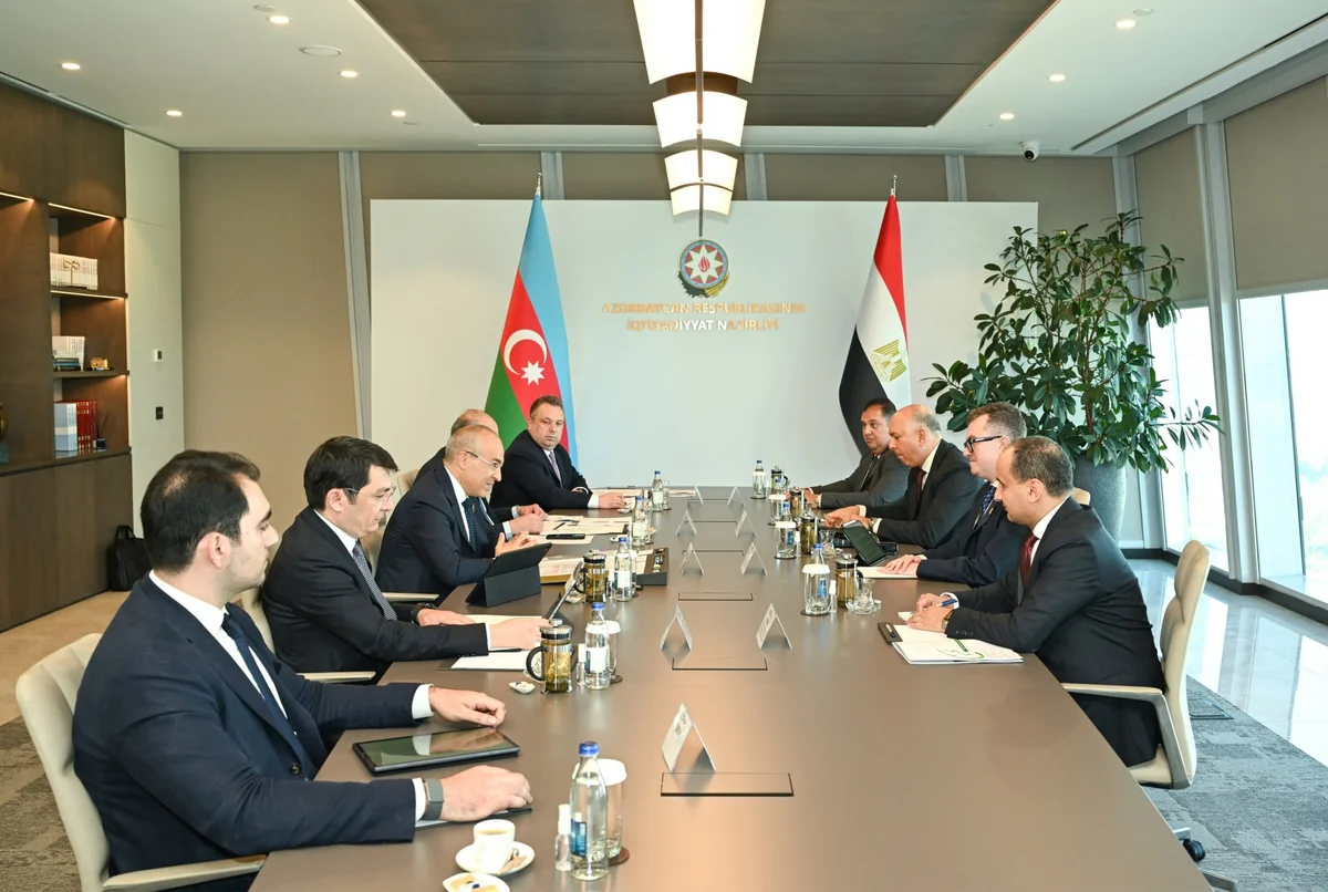 Azərbaycan Misirlə qarşılıqlı biznes platforma formalaşdırmağı müzakirə edib