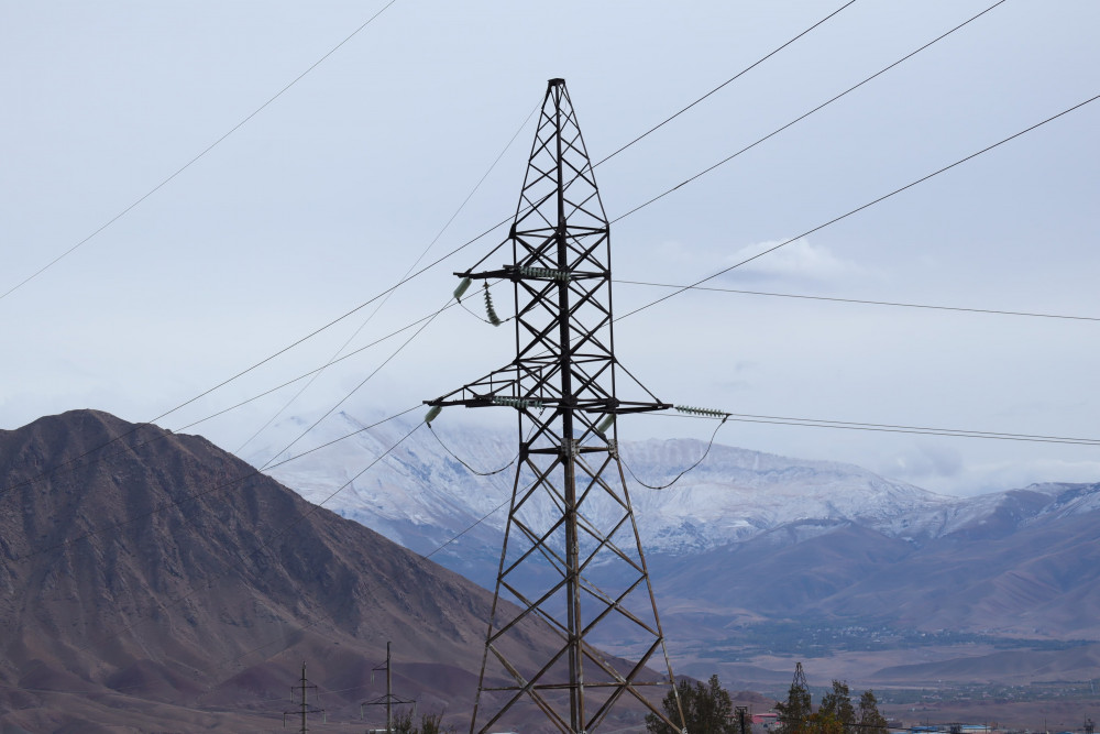 “Azərenerji” elektrik xətlərində qısaqapanmanı təyin edən qurğuların alınmasına 5 mln. xərcləyəcək