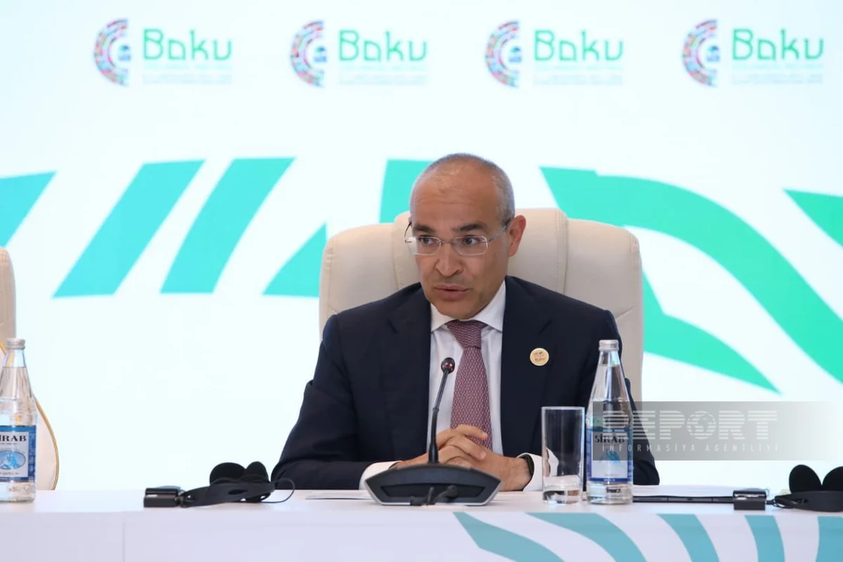 Nazir: "IsDB ilə 640 milyon dollarlıq 11 layihə icra olunur"