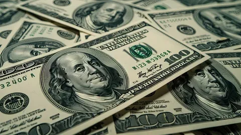 AMB ölkəyə dollar gətirmək üçün çəkdiyi xərci açıqlayıb