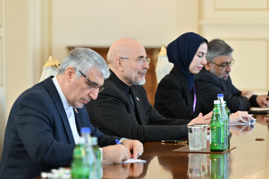 İlham Əliyev İran İslam Şurası Məclisinin sədrinin başçılıq etdiyi nümayəndə heyətini qəbul edib - Foto 10