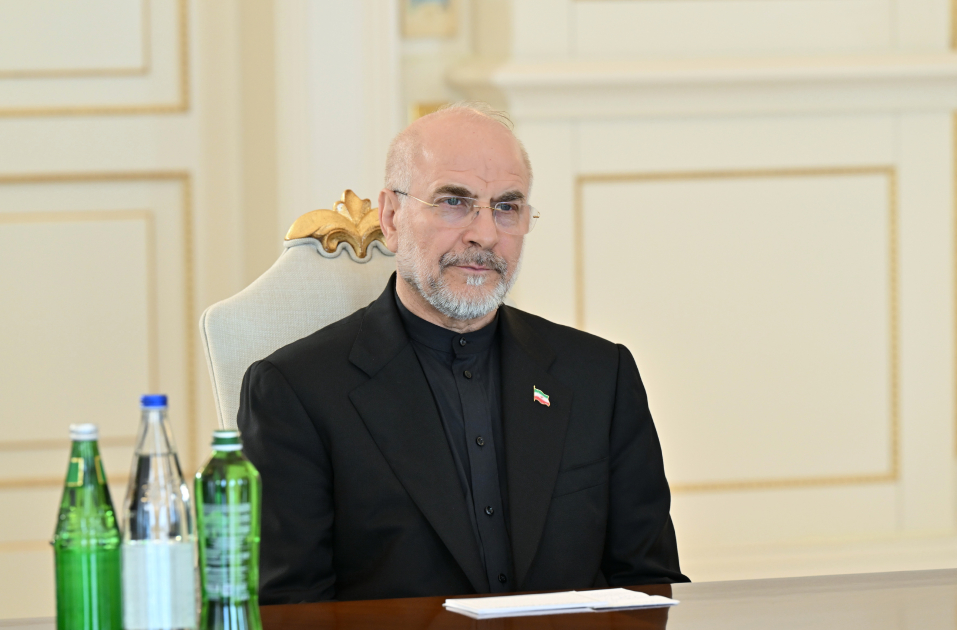 İlham Əliyev İran İslam Şurası Məclisinin sədrinin başçılıq etdiyi nümayəndə heyətini qəbul edib - Foto 9
