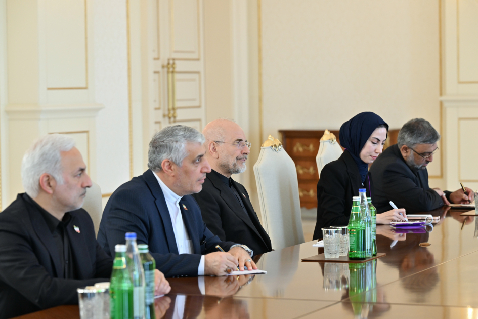 İlham Əliyev İran İslam Şurası Məclisinin sədrinin başçılıq etdiyi nümayəndə heyətini qəbul edib - Foto 8