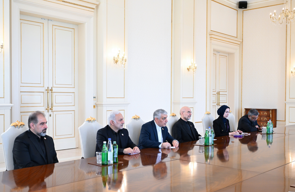 İlham Əliyev İran İslam Şurası Məclisinin sədrinin başçılıq etdiyi nümayəndə heyətini qəbul edib - Foto 7