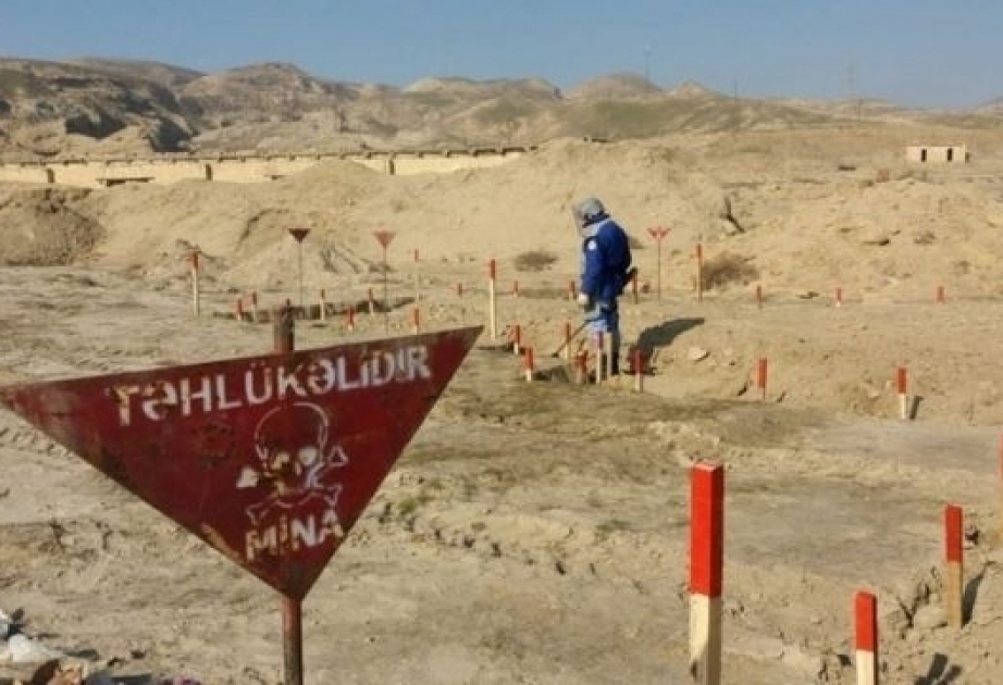 Şuşanın Sarıbaba kəndinin 82 ha ərazi minadan təmizlənib