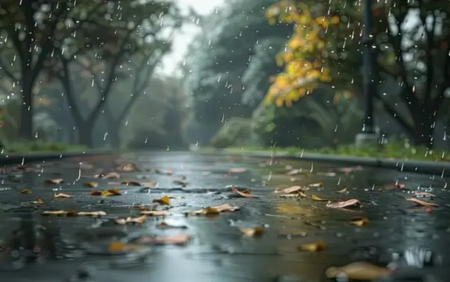 Həftəsonu Azərbaycanda hava şəraiti qeyri-sabit keçəcək - XƏBƏRDARLIQ