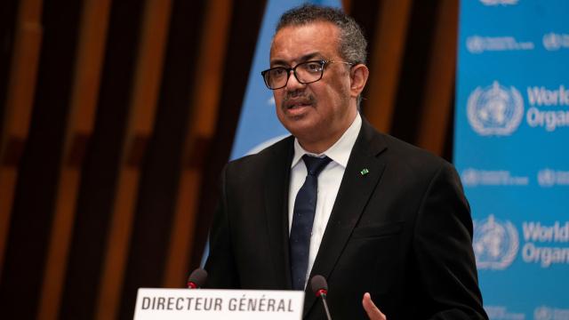 ÜST: Hantavirusla bağlı epidemiya başa çatıb