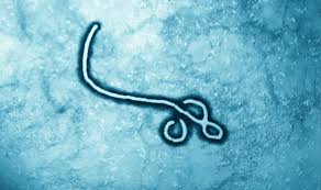 Konqoda “Ebola”dan ölənlərin sayı artıb