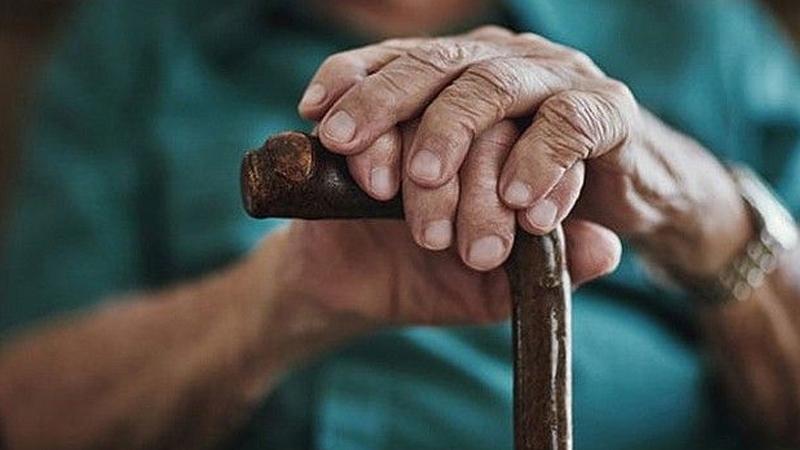 Azərbaycanda yaşlıların ən çox yaşadığı rayonlar - SİYAHI