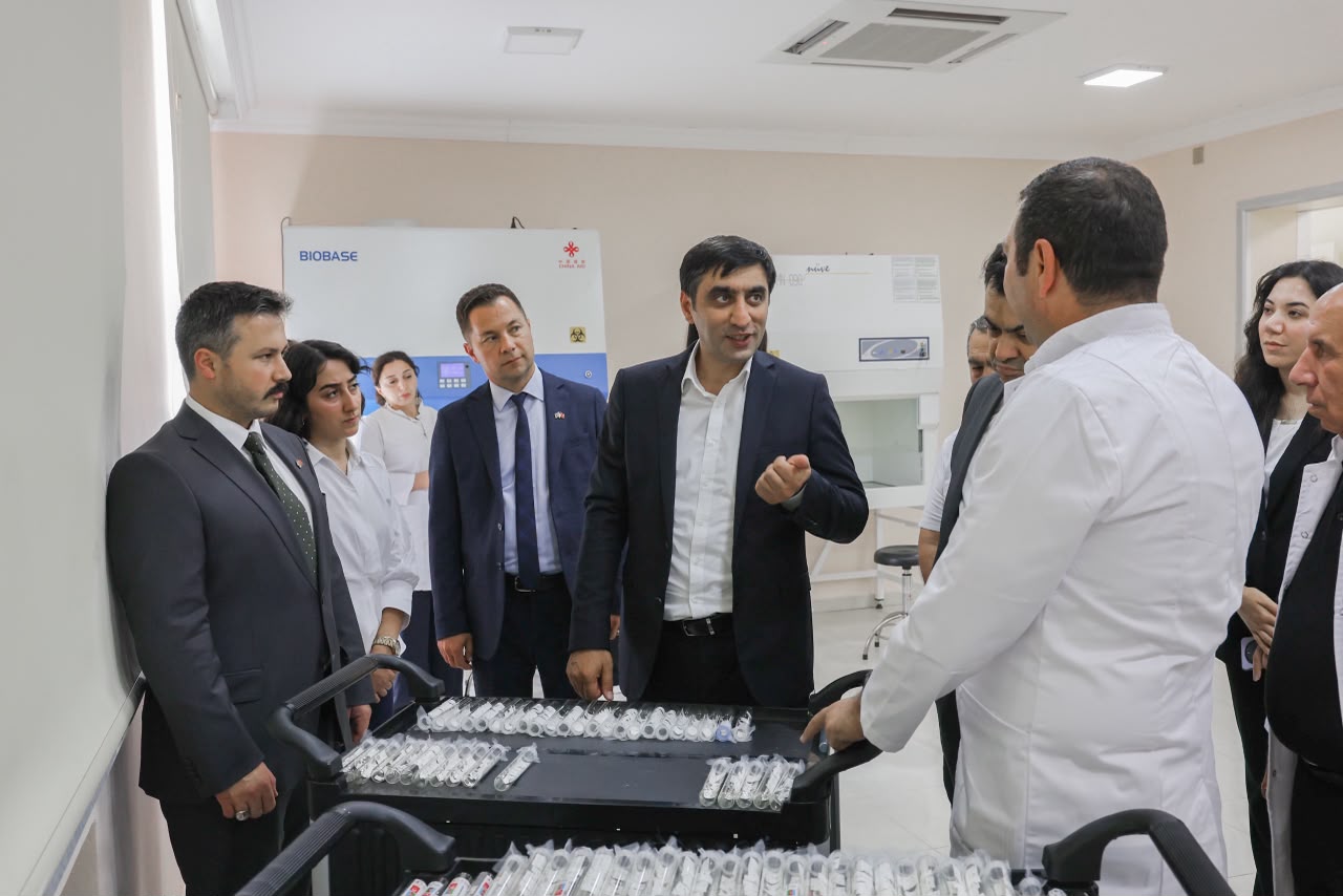 Azərbaycanda qəhvəyi mərmər bağacığına qarşı samuray arılarından istifadəyə başlanılıb - FOTO 