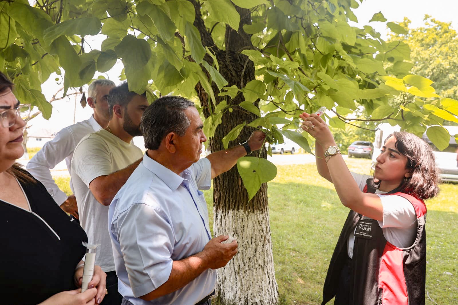 Ağaclardakı zərərvericiləri məhv etmək üçün Samuray arılarından istifadəyə başlanılıb - FOTO - Foto 2