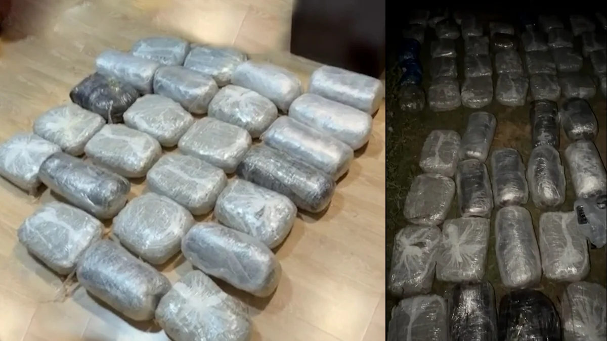 Baş idarə Yevlax və Lənkəranda əməliyyat keçirib, 76 kq narkotik ələ keçirilib