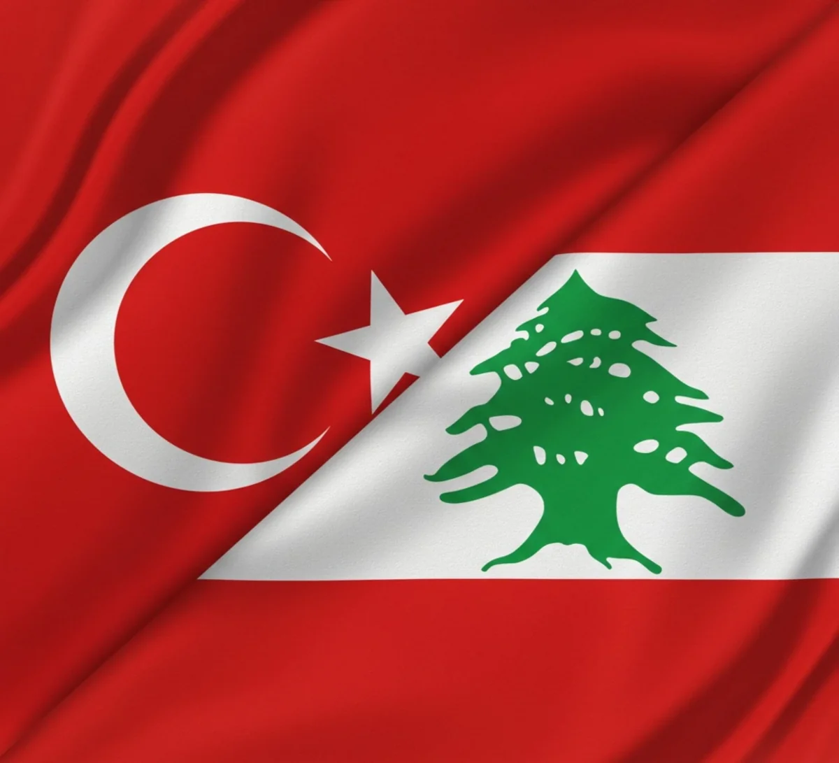Türkiyə ilə Livan arasında ikitərəfli münasibətlər müzakirə ediləcək