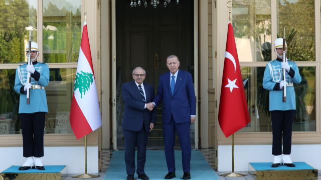 Ərdoğan Livanın Baş naziri Nəvvaf Salamı qəbul edib