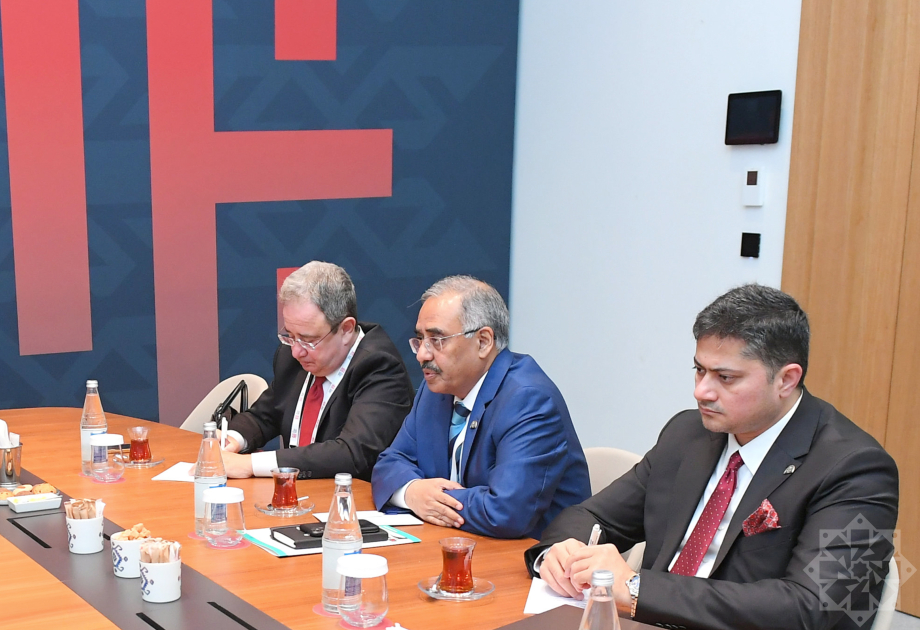 Hikmət Hacıyev Şuşada D-8 İqtisadi Əməkdaşlıq Təşkilatının nümayəndə heyəti ilə görüşüb - Foto 2