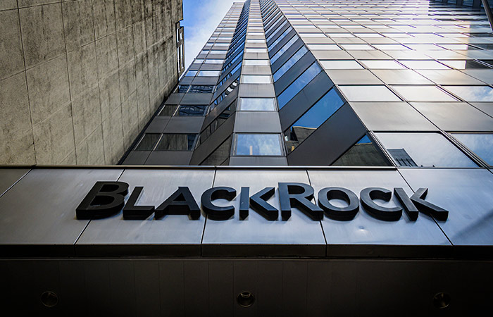 "BlackRock" xalis mənfəətini 20 faiz artırıb