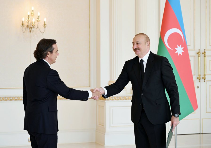 İlham Əliyev Braziliyanın Azərbaycanda yeni təyin olunmuş səfirinin etimadnaməsini qəbul edib - Foto 3