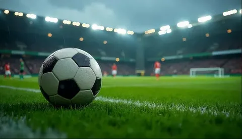 "Neftçi" - "Dinamo" oyununun biletləri satışa çıxarılıb