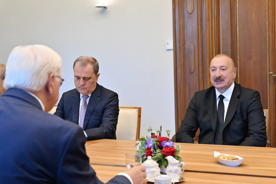 Azərbaycan və Almaniya prezidentlərinin geniş tərkibdə görüşü olub - YENİLƏNİB - Foto 8