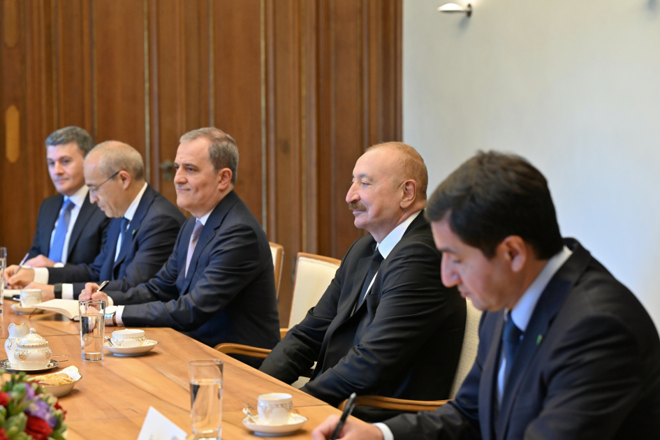 Azərbaycan və Almaniya prezidentlərinin geniş tərkibdə görüşü olub - YENİLƏNİB - Foto 9